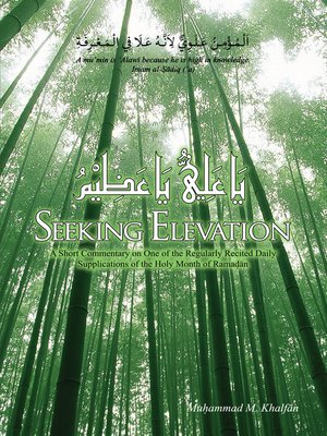 cover image of Seeking Elevation